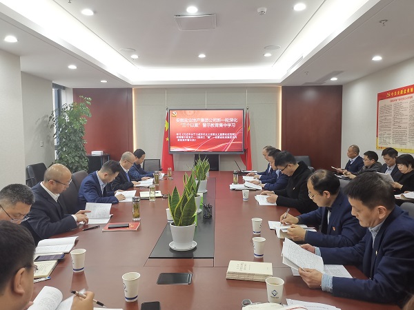 安徽鹽業地產集團公司開展新一輪深化“三個以案”警示教育集中學習