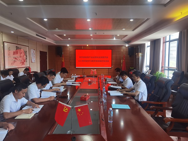 高廣飛督導(dǎo)徽鹽地產(chǎn)集團定遠項目黨支部組織生活會